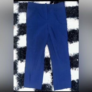 Ann Taylor Women’s petite Navy Blue Casual Pants